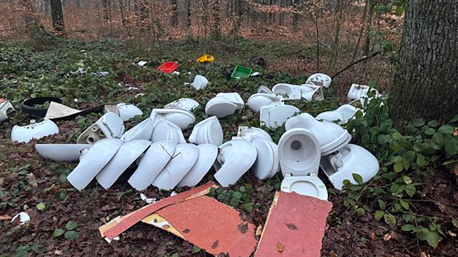 Landesforsten schlagen Alarm: Immer wieder Müll in Wäldern in SH