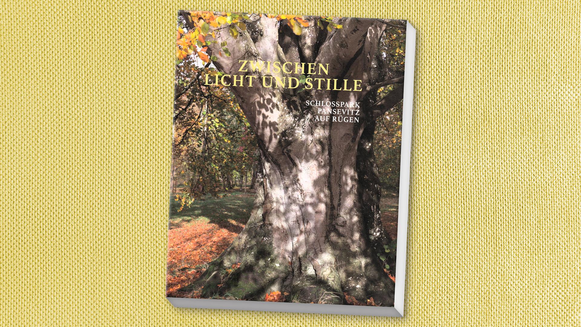 Wie ein Friedwald auf Rügen zur Begegnungsstätte wird