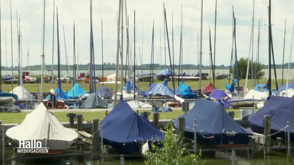 Segelboote liegen am Dümmer.