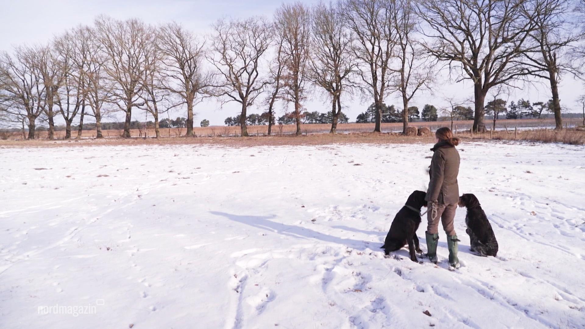 Pseudowut-Virus: Todesurteil für Hunde