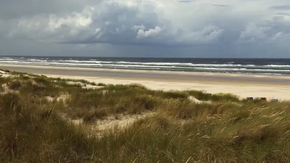 Von Gräsern bewachsene Dünen, dahinter ein heller Sandstrand und die Nordsee unter grauem, bewölktem Himmel.