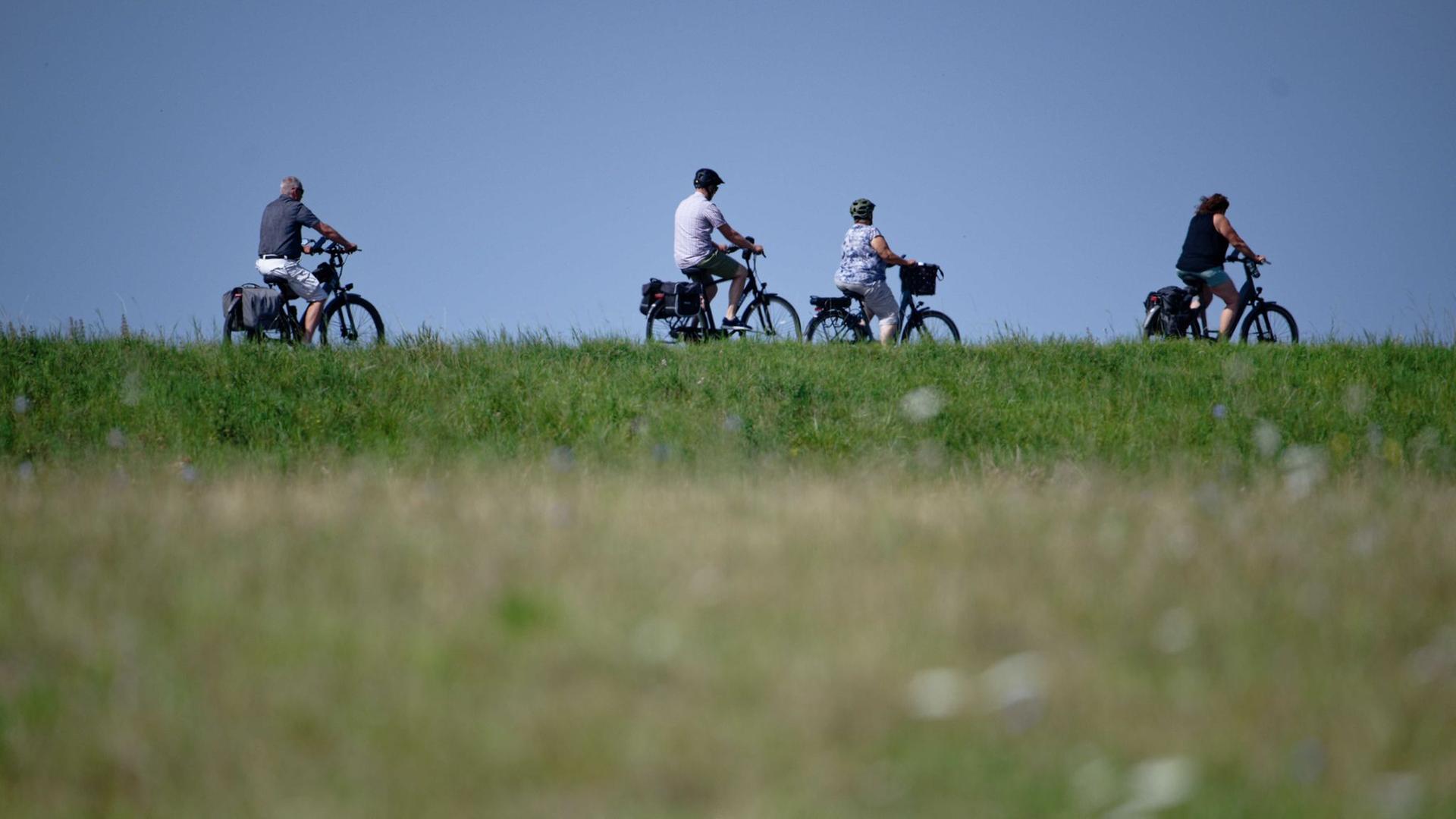 Fahrradfahrer radeln auf dem Deich. | dpa, Henning Kaise