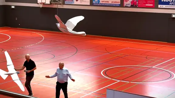 Ingenieure stellen mit künstlichen Vögeln modernste Flugapparate vor.