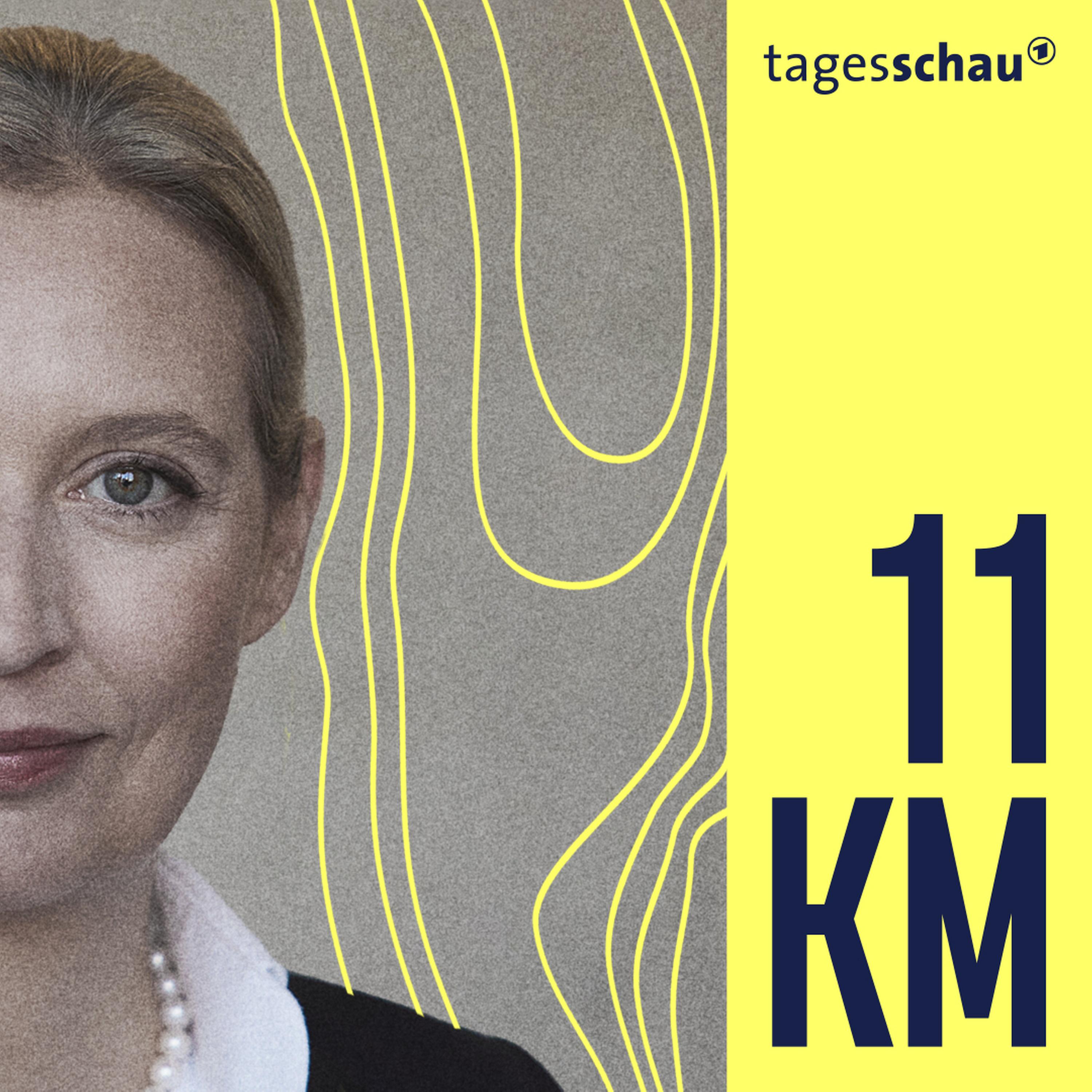 K wie Kanzlerin: Welche Außenpolitik will Alice Weidel?