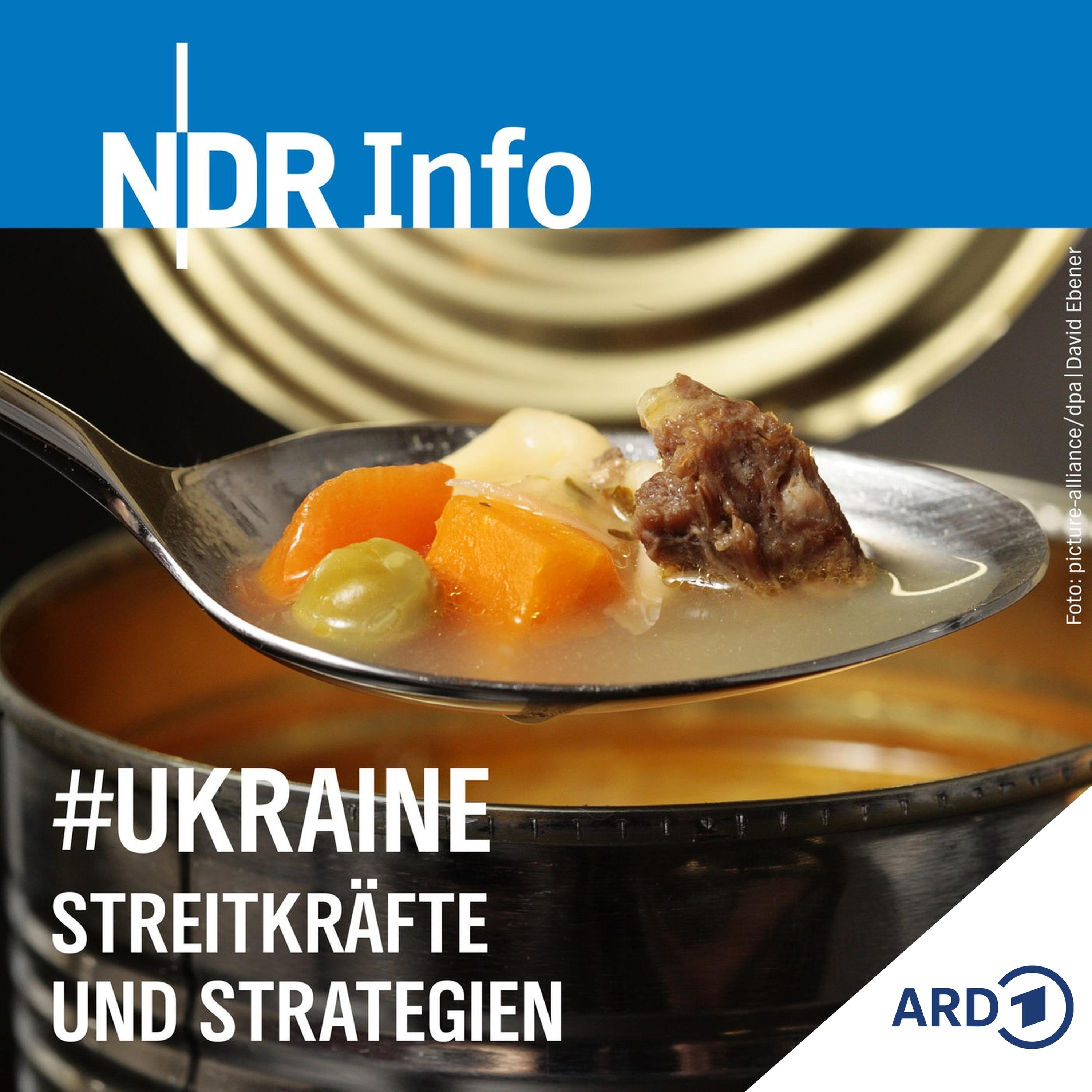 Streitkräfte und Strategien