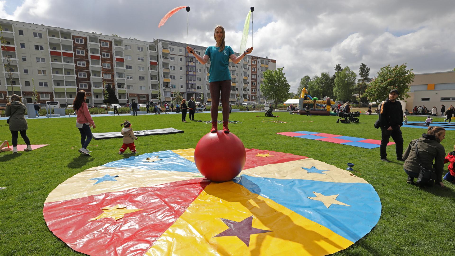 Landeskulturpreis MV wird heute verliehen