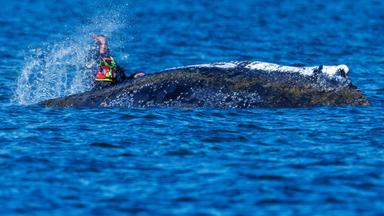 Schwere Vorwürfe gegen Rettungsteam