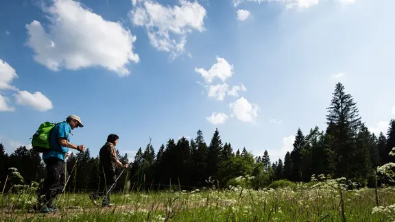Zwei Wanderer gehen an Wiesen am Hochmoor Mecklenbruch im Solling vorbei.