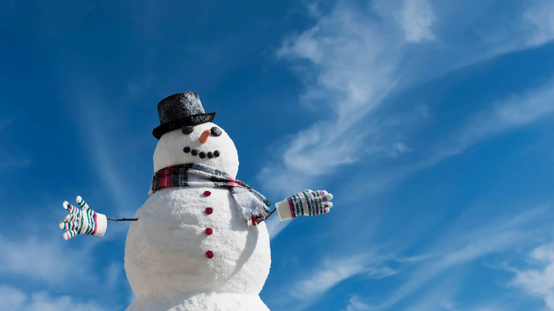 warum ist python so beliebt? Images High Quality Grahic Warum ist der Schneemann so beliebt? | ndr.de