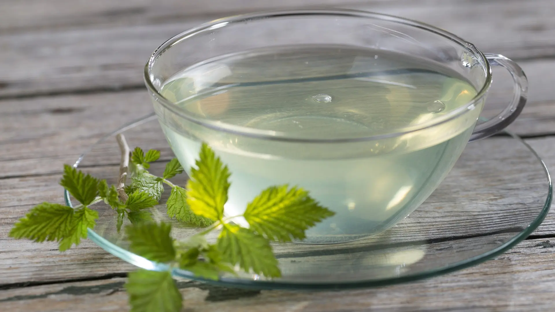 Himbeeressig und Himbeerblättertee selbst machen | ndr.de