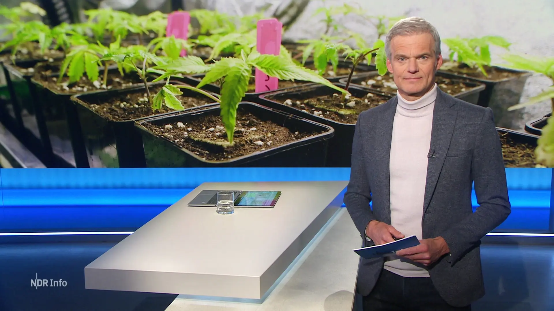 NDR Info 15:00 | 19.02.2026 | ndr.de