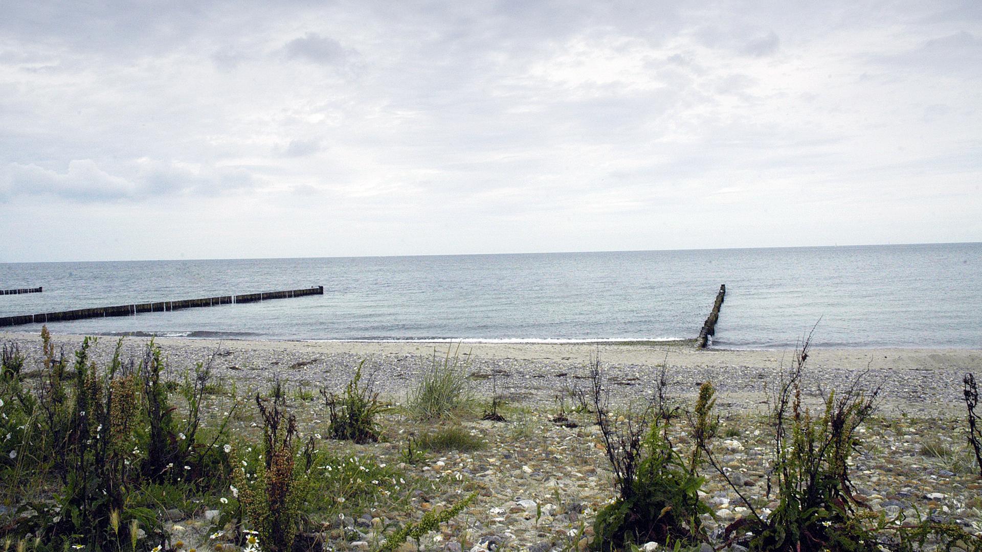 Meerwasser entsalzen gegen Wasserknappheit in der Region Rostock?
