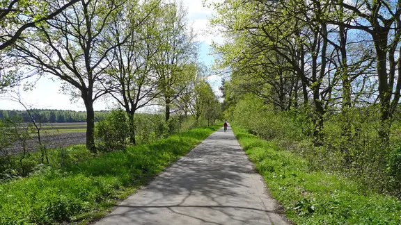 Mehrere Wander- und Radwege - hier der Butterbargsmoorweg - durchziehen den Regionalpark. | Regionalpark Wedeler Au. Ein Radfahrer auf dem Butterbargsmoorweg im Regionalpark Wedeler Au.