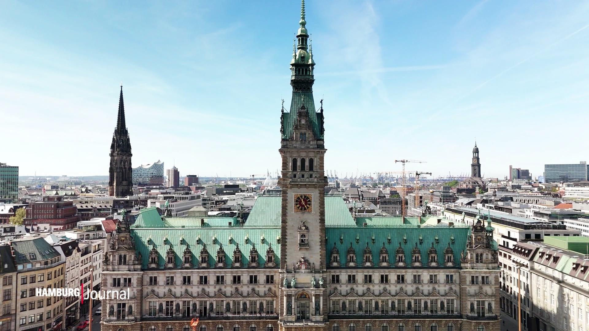 Hamburger Zukunftsentscheid: Grüne formulieren Ideen