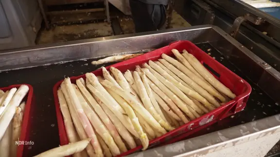 Spargel in einer Kiste.