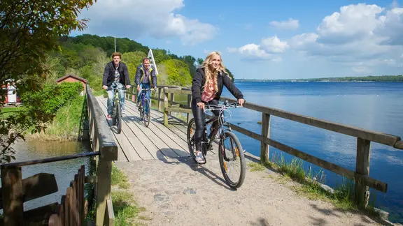 Drei Fahrradfahrer fahren über den deutsch-dänischen Grenzübergang Schusterkate, nahe Flensburg.