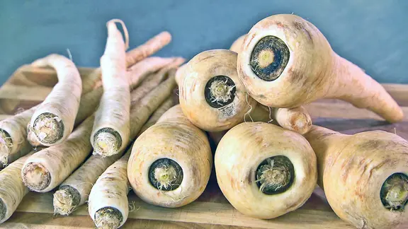 Sehen ähnlich aus, schmecken aber ganz unterschiedlich: Petersilienwurzeln (links) und Pastinaken. | NDR Petersilienwurzeln und Pastinaken auf einem Holzbrett.