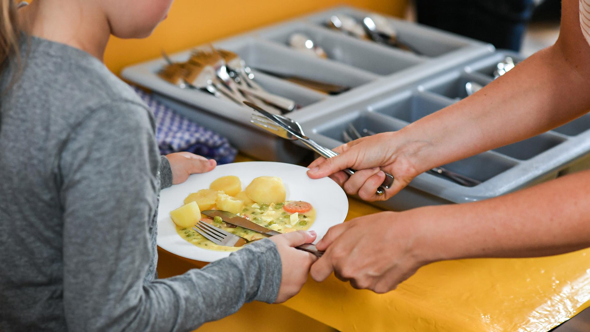 Rostock: Verschimmelte Mahlzeit im Schulessen
