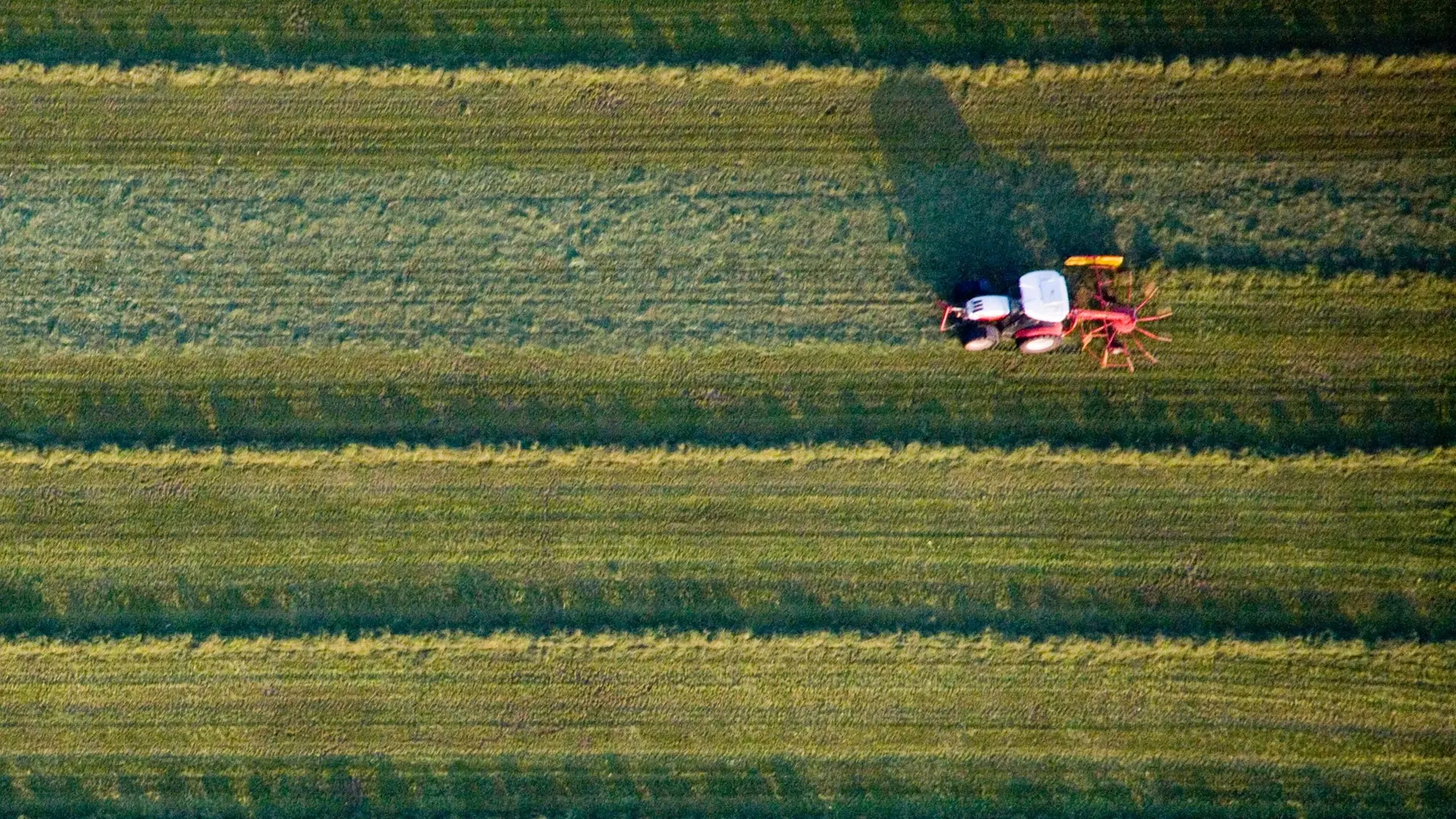 SH erweitert Agrarprogramm: Mehr Förderung für Landwirte