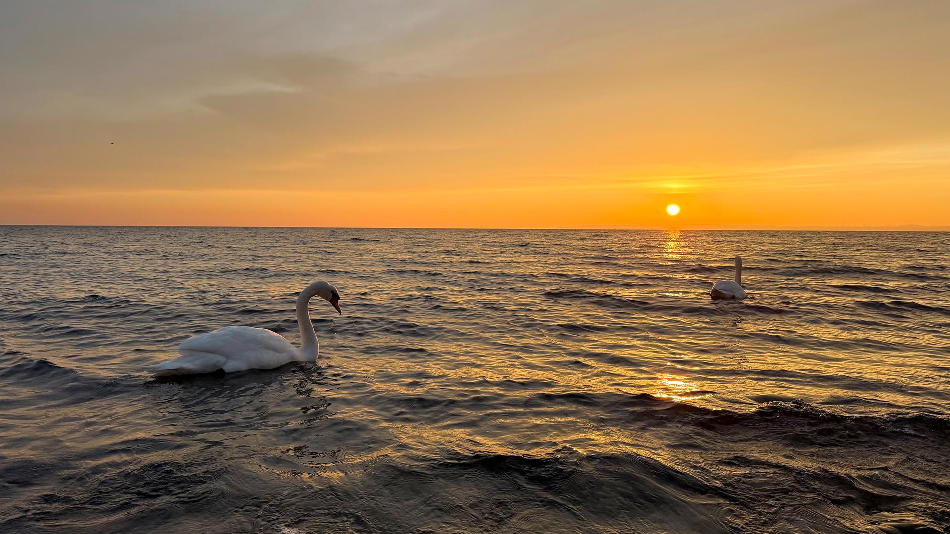Ostseeschutz: Regionale Pläne sollen Nährstoffeinträge senken