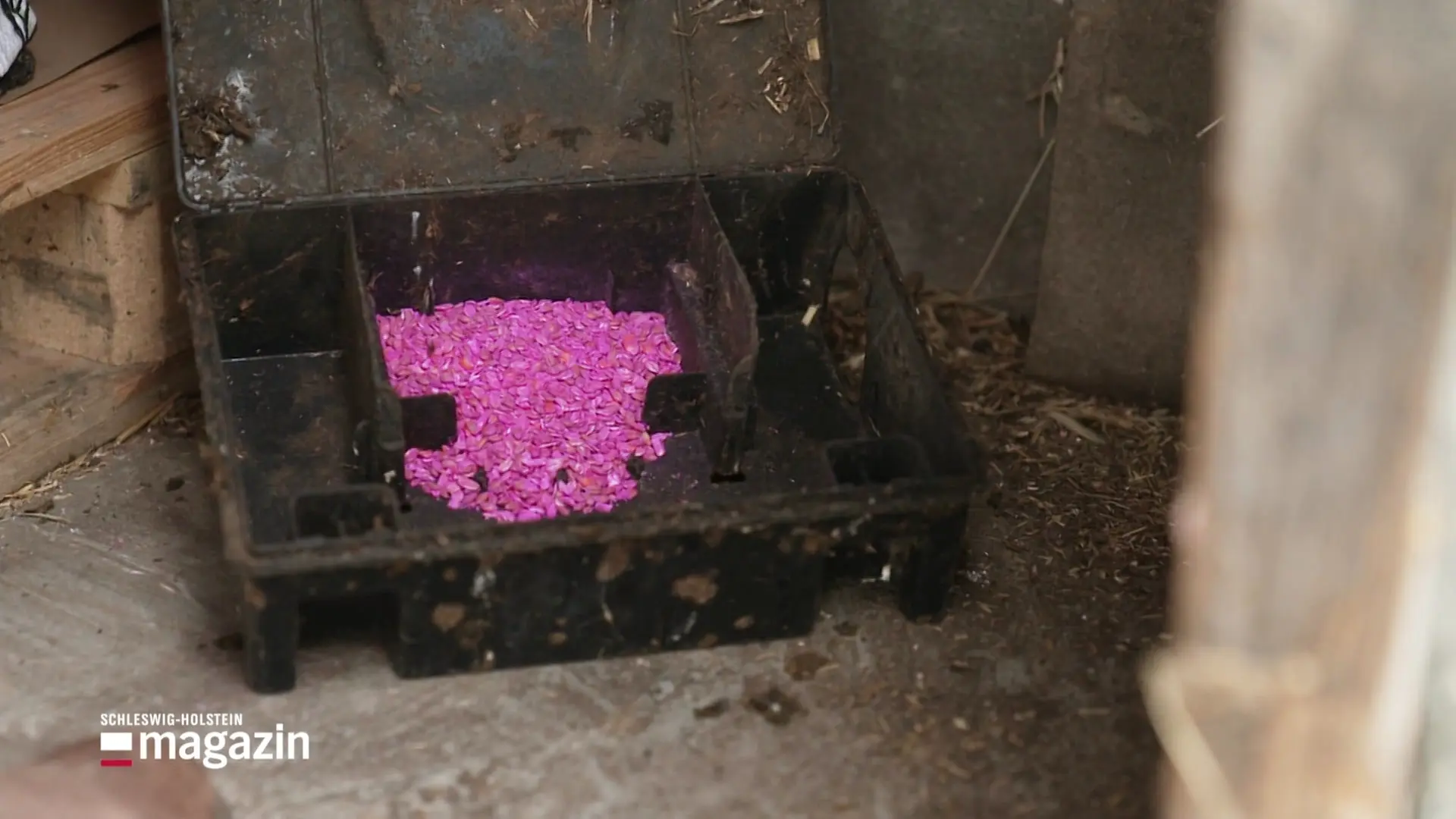 Giftköderschulung wird Pflicht - Landwirte üben Kritik