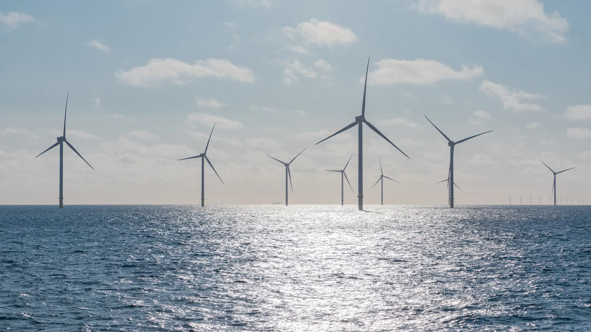 Recherchen von NDR, WDR und SZ: Ölkonzern BP hat Windkraft-Projekte bereits beerdigt