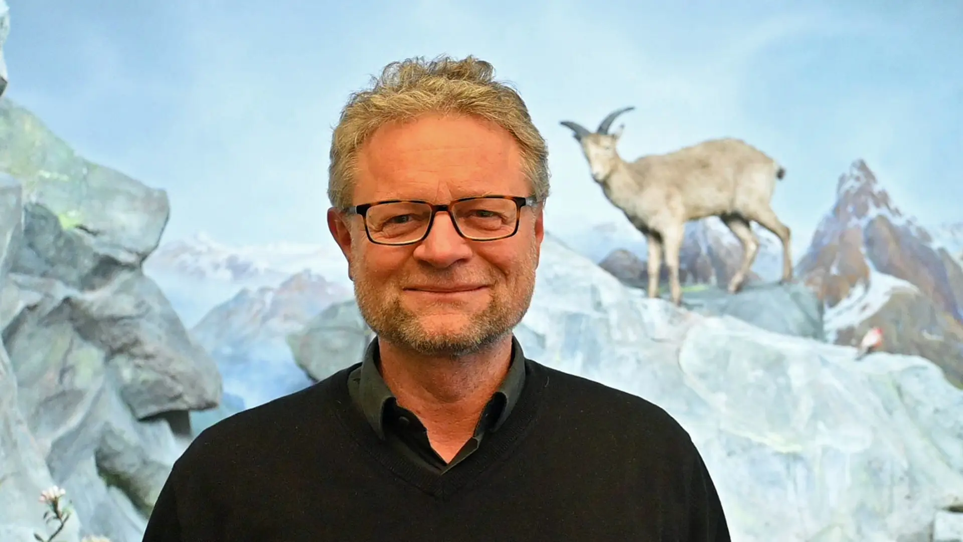 Naturkundemuseum im Elbtower: "Eine gute Perspektive"