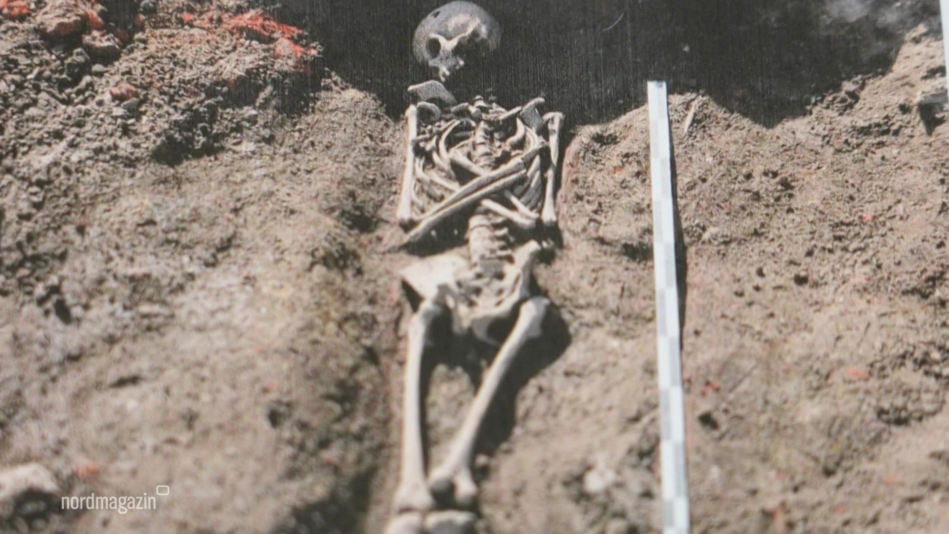 300 Skelette bei Ausgrabungen in Greifswald gefunden