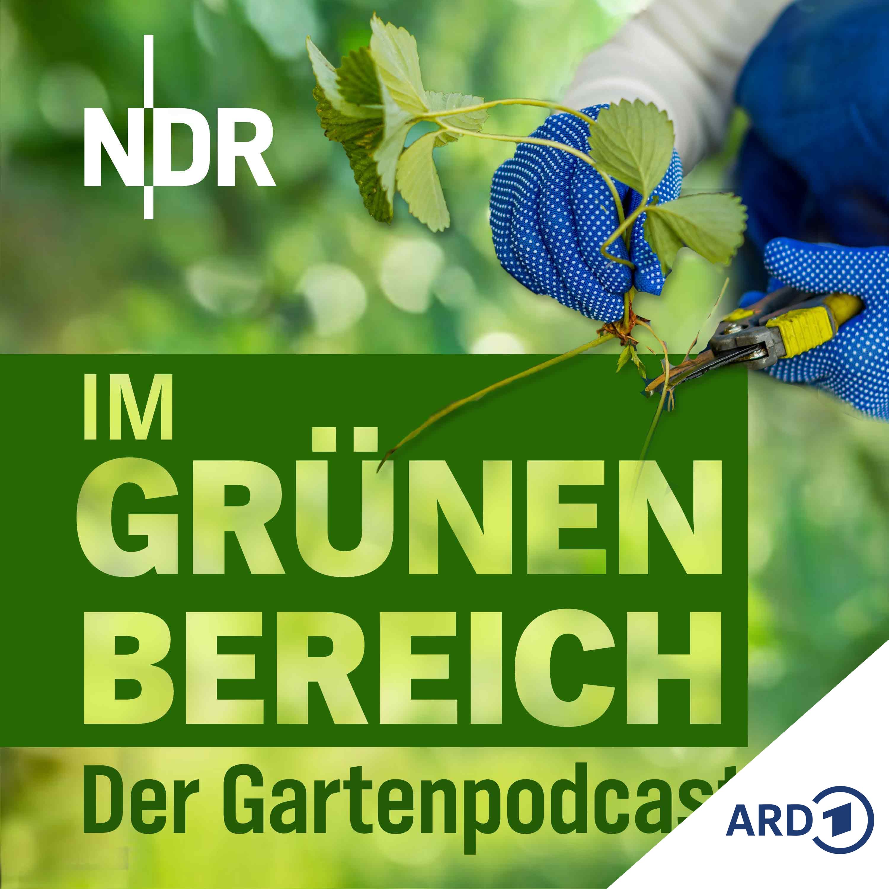 Pflanzen über Stecklinge vermehren episode artwork