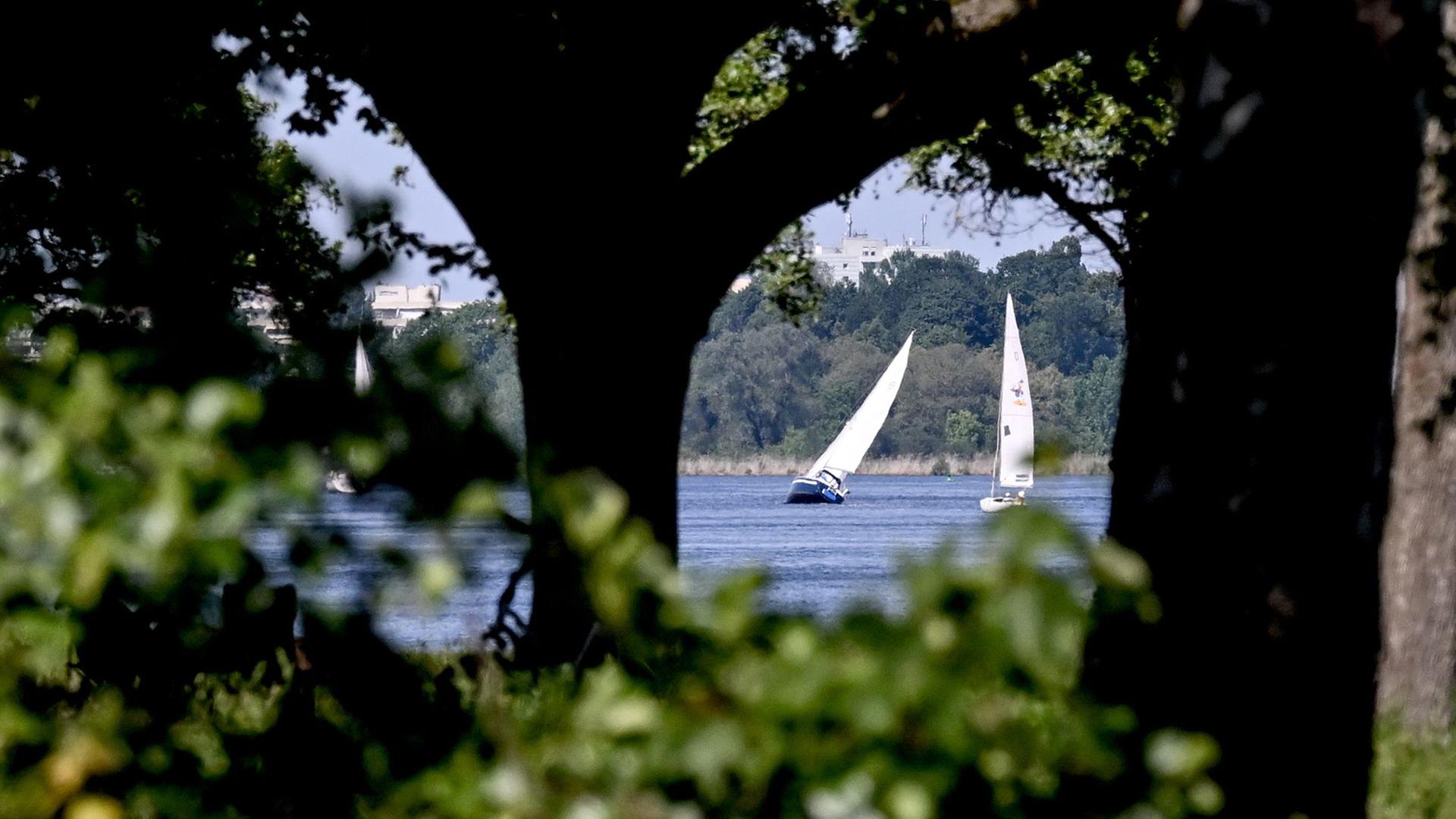 Zwei Segelboote segeln auf der Havel. | dpa, Britta Pedersen