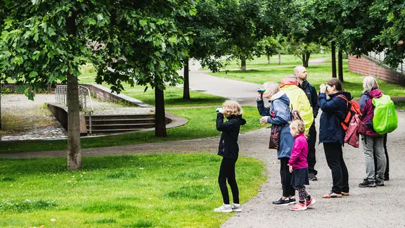 Eine Gruppe beobachtet Tier bei einer Führung a,m Langen Tag der Stadtnatur.