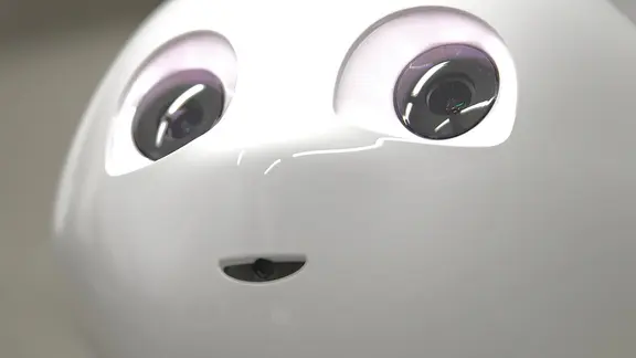 Nahaufnahme vom kindlichen Roboter Pepper.