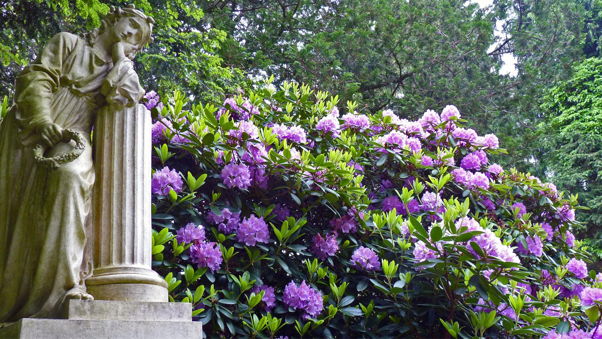 Blick auf ein Grabmal und blühende Rhododendren auf dem Ohlsdorfer Friedhof | NDR, Irene Altenmüller