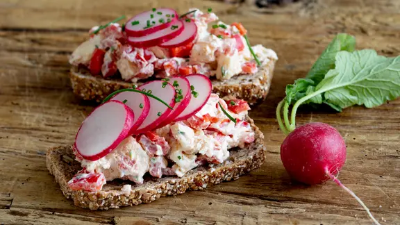 Vollkornbrotscheiben mit einer Käsecreme, darauf Radieschenscheiben.