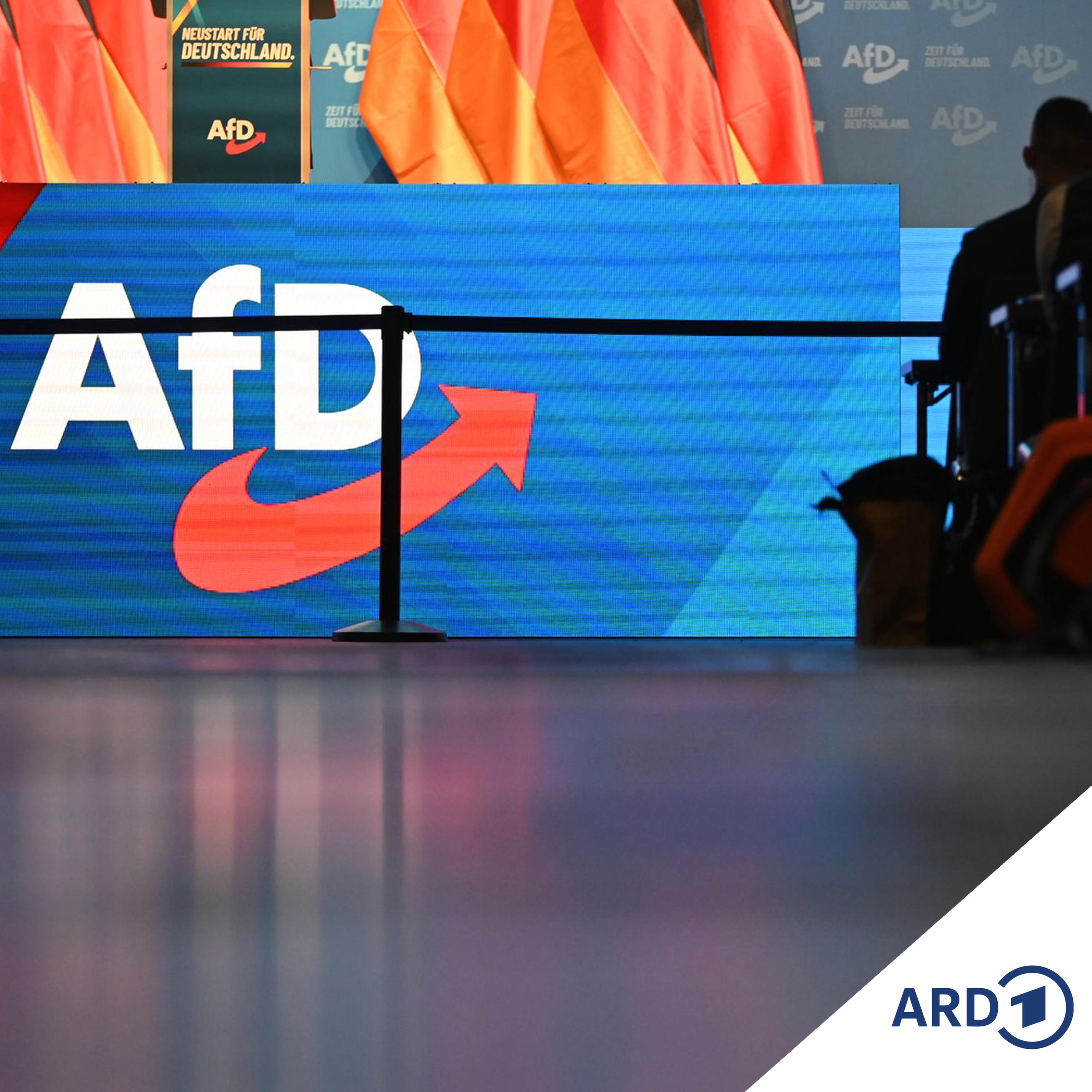 Bundesparteitag: AfD betont Machtanspruch episode artwork