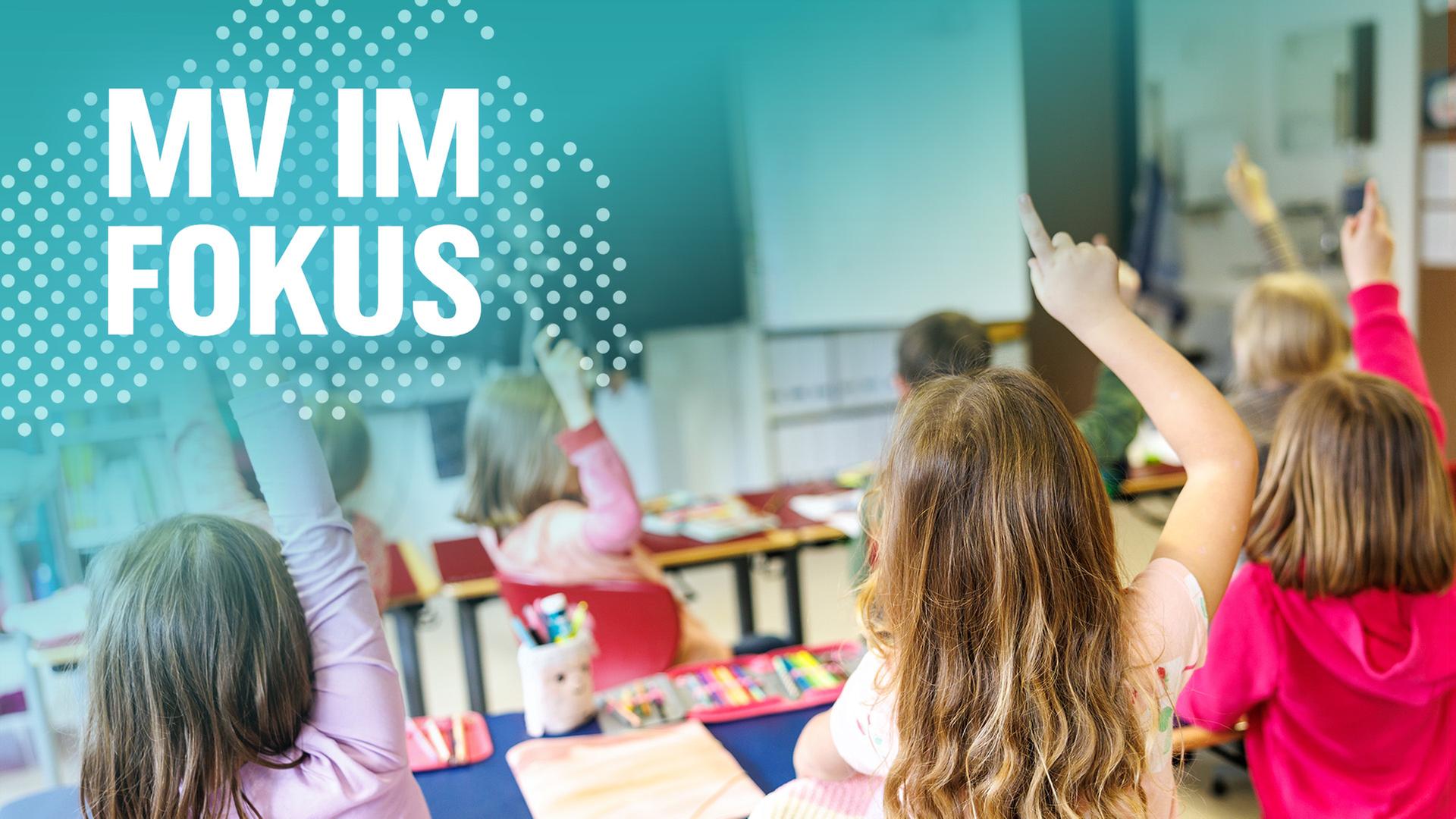 Schule am Limit: Was Bildung in MV jetzt braucht