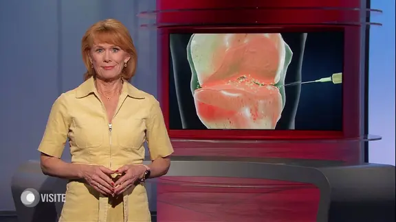 Vera Cordes moderiert Visite.