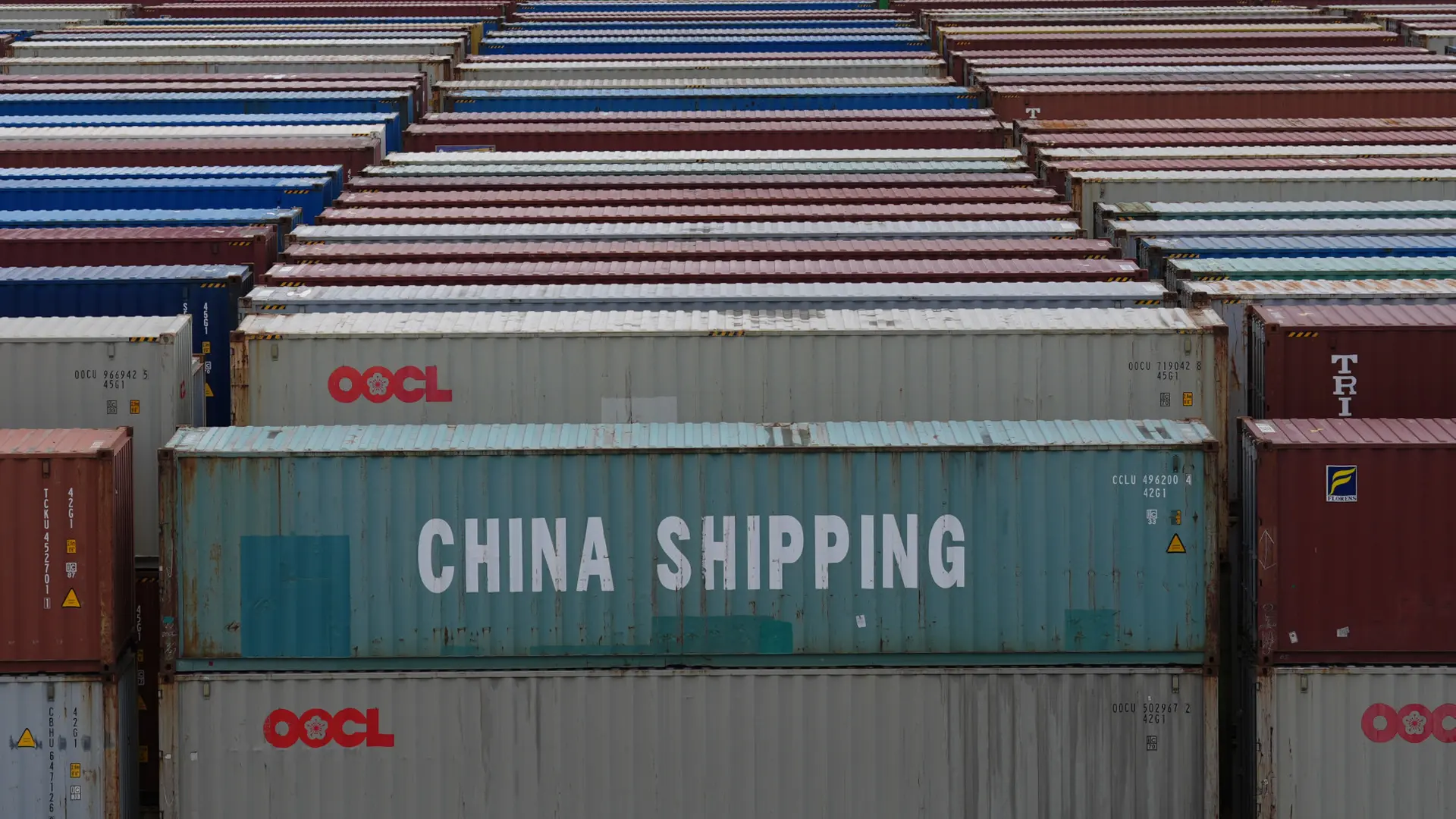 Deutsche Umwelthilfe verklagt Hamburg wegen Holzbegasung