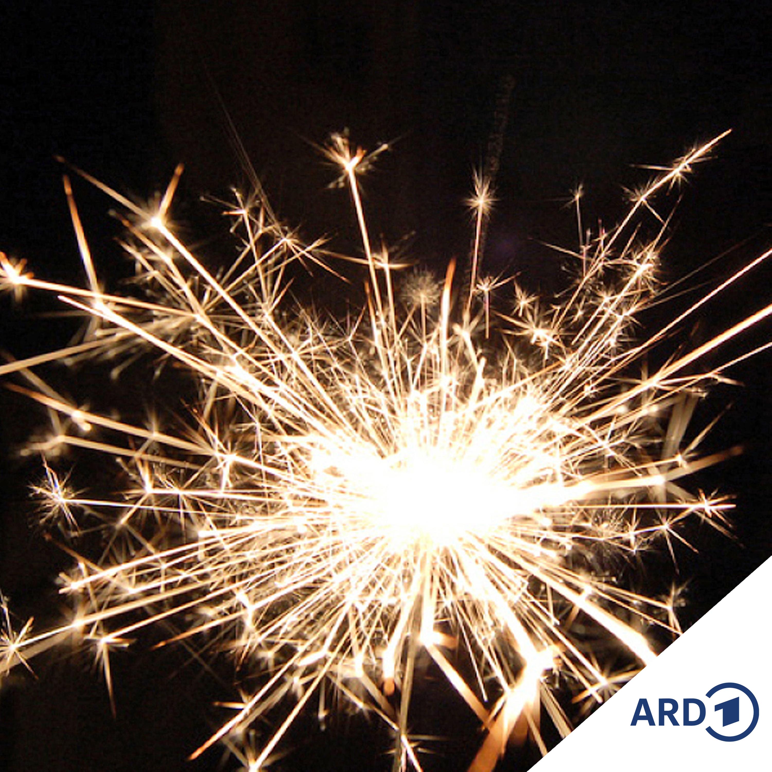 Neejohrs-Revolutschoon