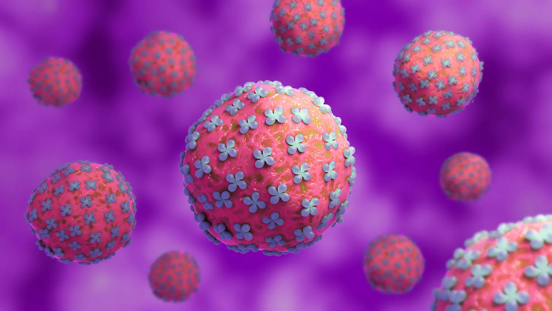 Hantavirus: Symptome, Behandlung und Übertragung