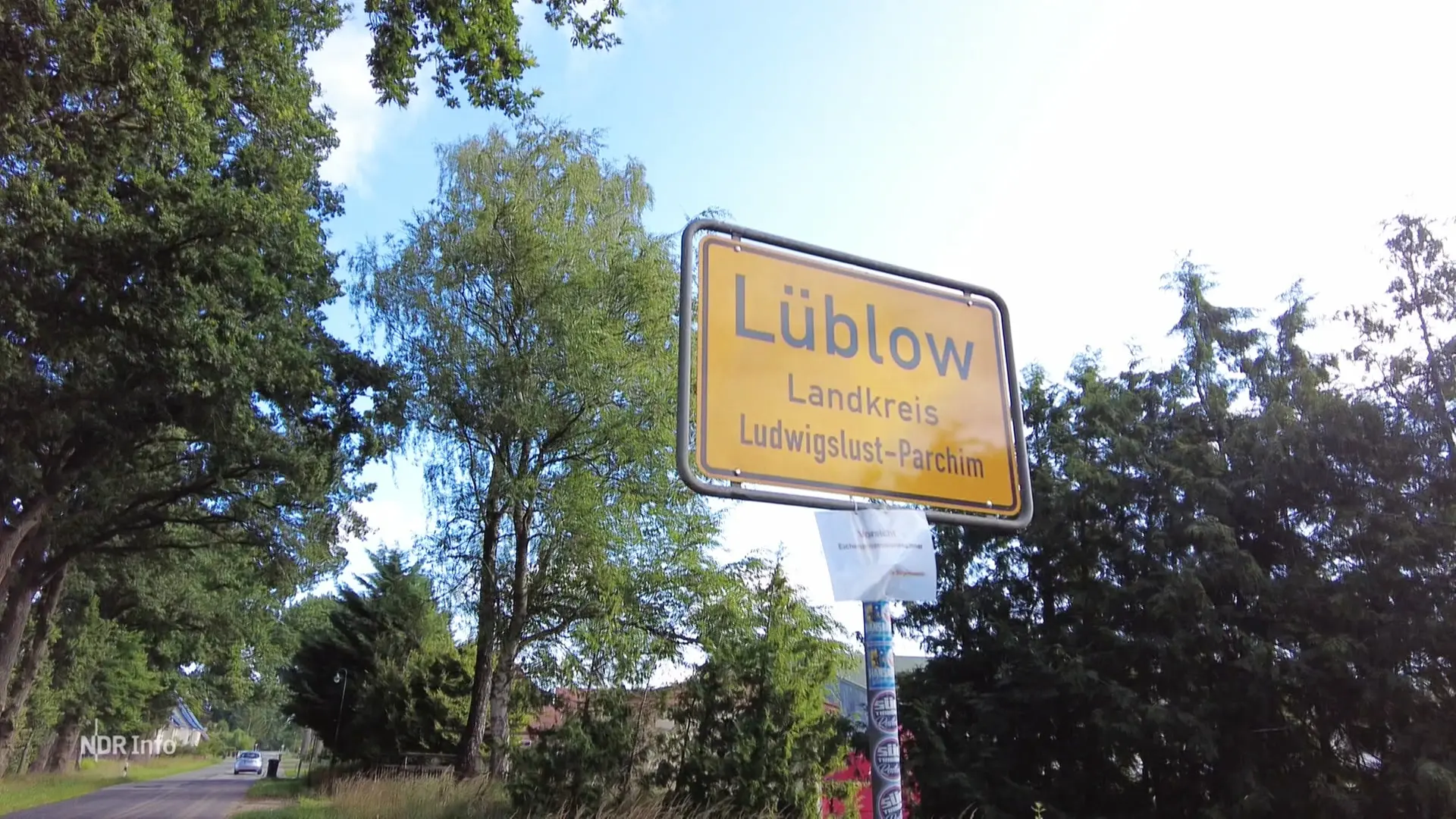 Lüblow: Rinder verenden in Güllebecken