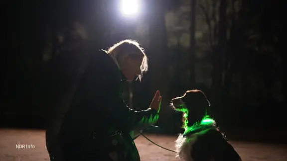 In der abendlichen Dunkelheit: Eine Frau kniet vor einem sitzenden Hund mit grün leuchtendem Halsband und hält ihm die Hand vor die Schnauze.