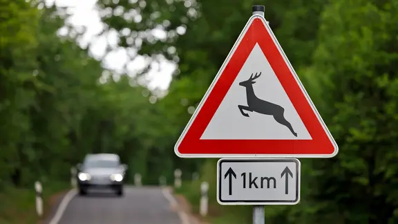 Ein Straßenschild, das vor Wildwechsel warnt, im Hintergrund ein Auto auf einer Landstraße.