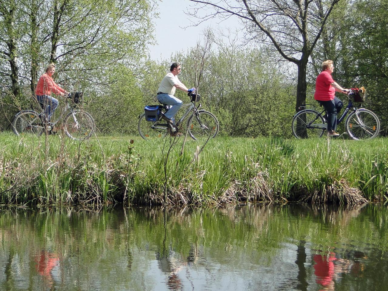klapprad verschluss MTB-Mountainbike-Verschluss für Fahrradlenkergriffe Zwei Seiten, die rutschfeste Gummi-Fahrradgriffe mit Aluminiumlegierungsschloss, Fahrradgriff für Roller Dreiradstraßen-Urban-Klapprad Sport & Freizeit Einbaulänge (mm):187mm | s=2mm Blurby Max Ebike - tag line