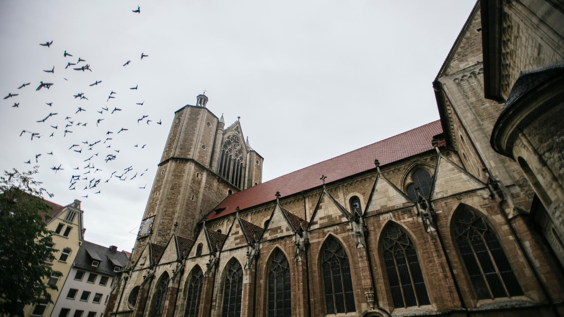 Der Braunschweiger Dom. | Julius Matuschik