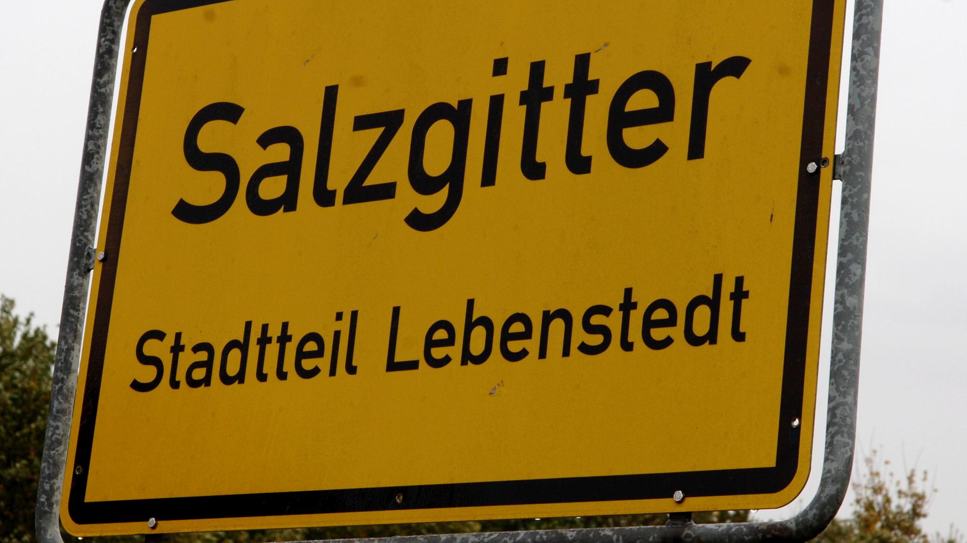 Ein Ortsschild für Salzgitter-Lebenstedt. | picture alliance/dpa, Wolfgang Weihs
