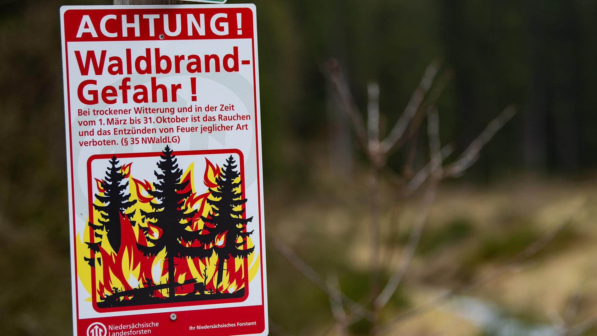 Ein Schild weist auf Waldbrandgefahr hin. | dpa-Bildfunk, Swen Pförtner