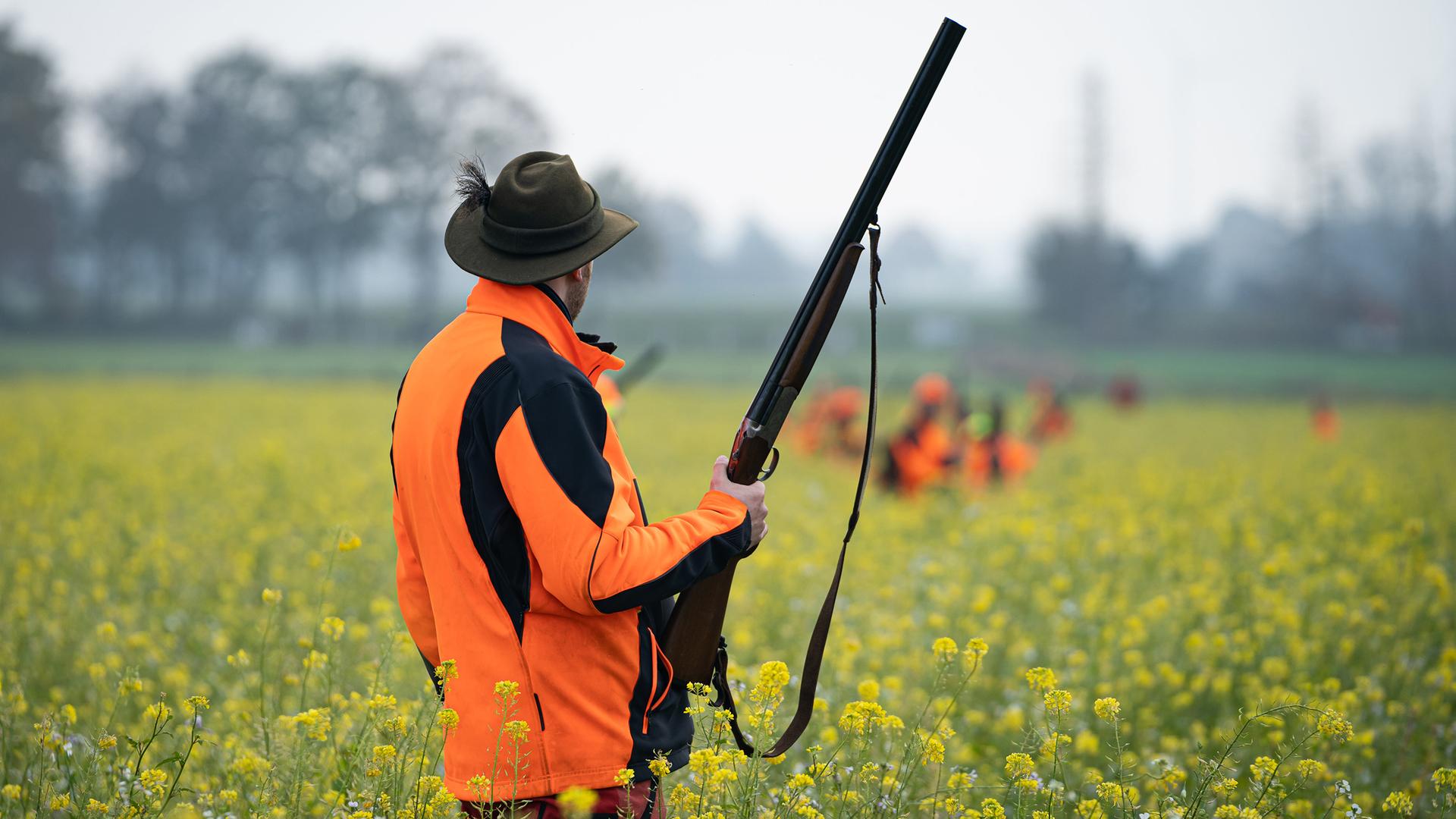 Ein Jäger bei der Treibjagd. | picture alliance / Countrypixel | FRP