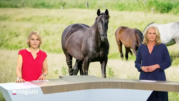 Marie Luise Bram und Harriet Heise moderieren das Schleswig-Holstein Magazin. 