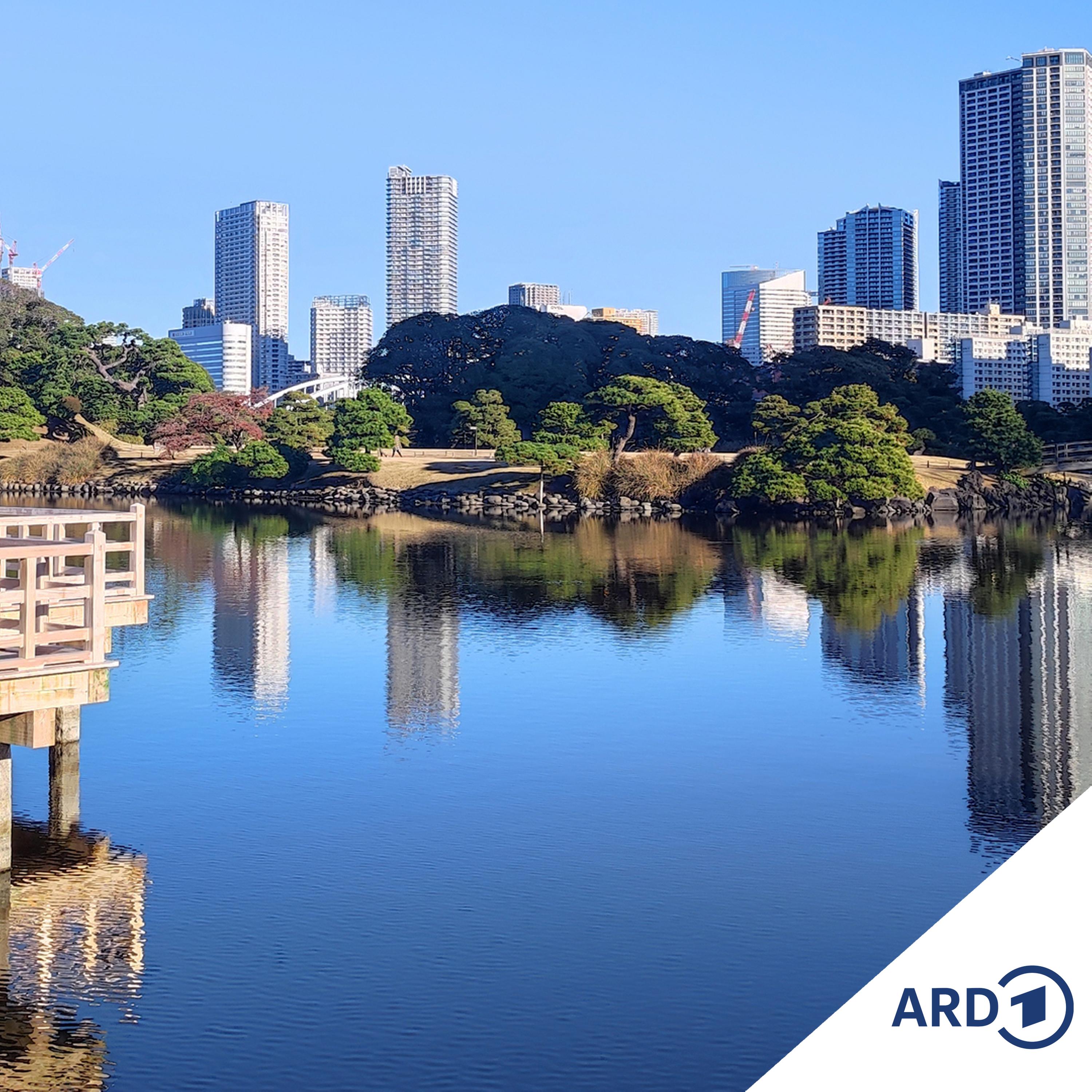 Zwischen Hamburg und Haiti